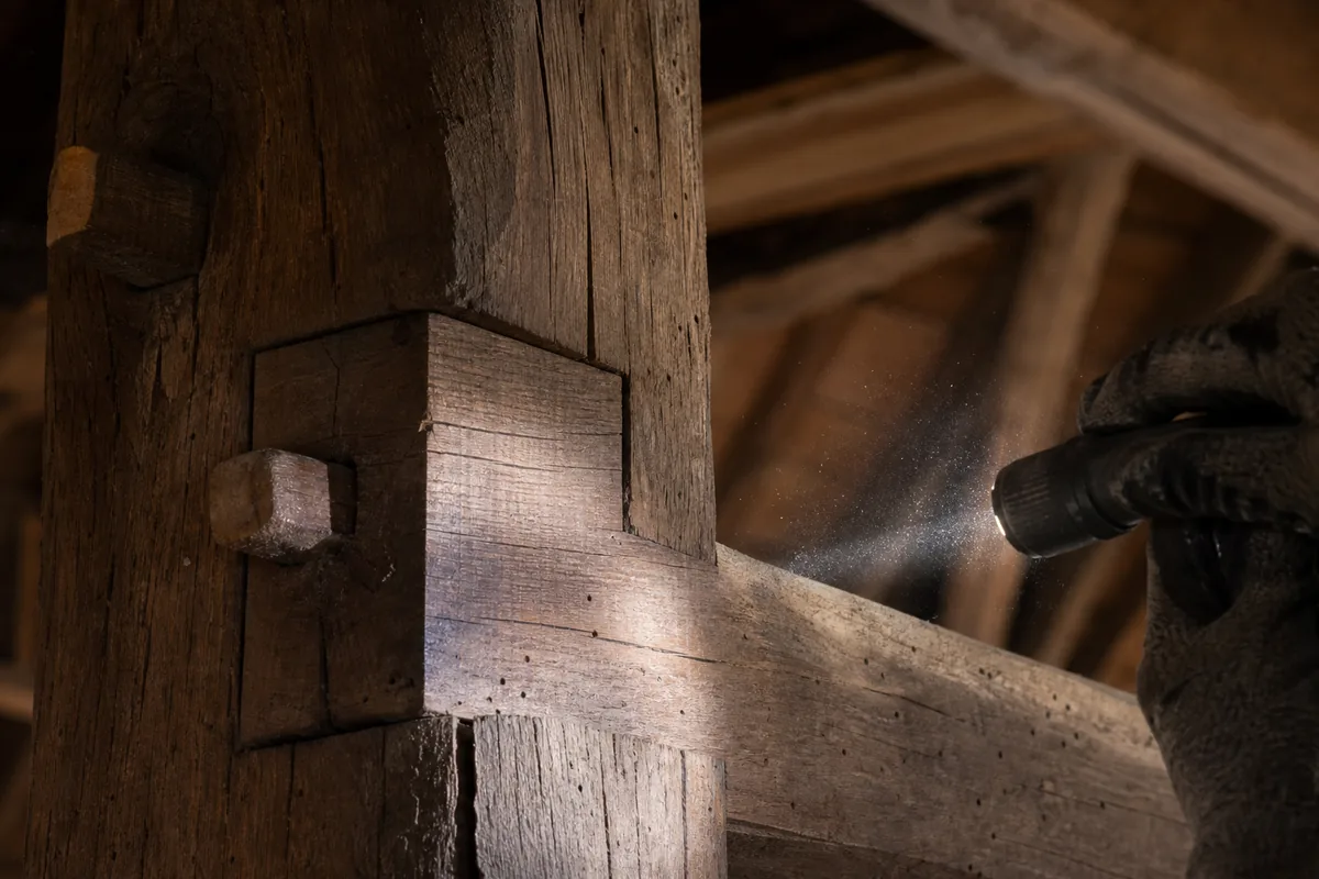 Assemblage en chêne d’une ferme de charpente ancienne inspecté à la lampe dans un comble